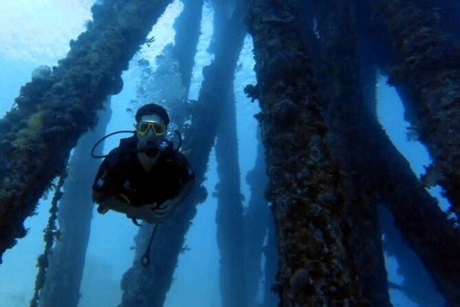 Guided Scuba Diving Adventure in Aqaba - Is $48.62 a good value?