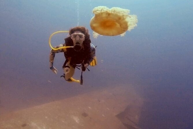 Guided Scuba Diving Adventure in Aqaba - Arriving at Hammerhead Diving Center