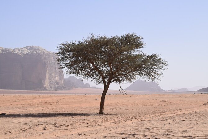 Half day Jeep and camel tour No stay - Climbing the Little Bridge