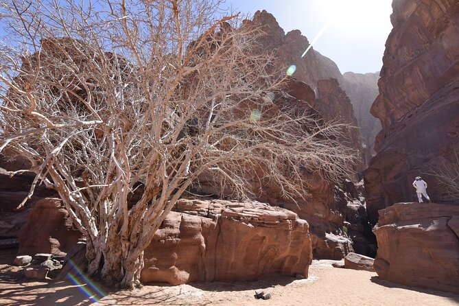 Half day Jeep and camel tour No stay - Walking through Khazali Canyon