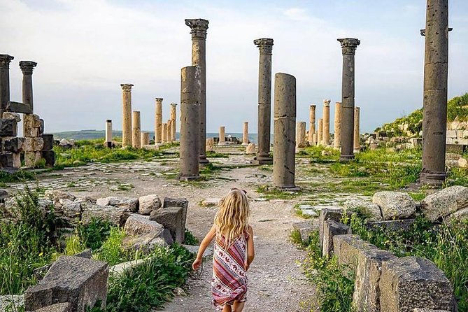 Half Day Private Tour From Amman To Jerash - The colonnaded avenues and public squares