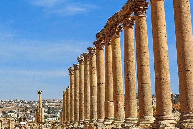 Half Day Tour to Jerash - Driver service and the guide question