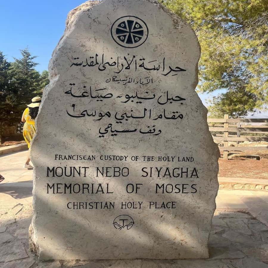 Half Day Tour To Madaba and Mount Nebo From Amman - What the private car changes