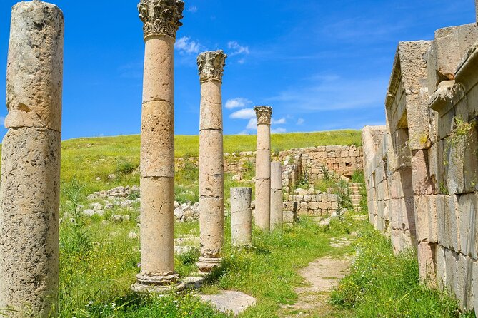 Histroy Tour in Jerash Ruins and Ajloun Castle - Walking through Roman Jerash