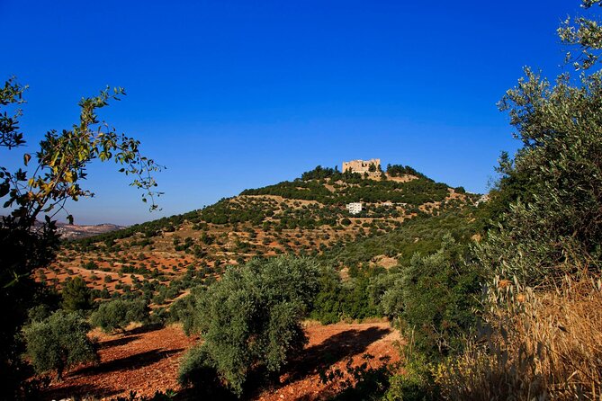 Histroy Tour in Jerash Ruins and Ajloun Castle - Practical details before you book