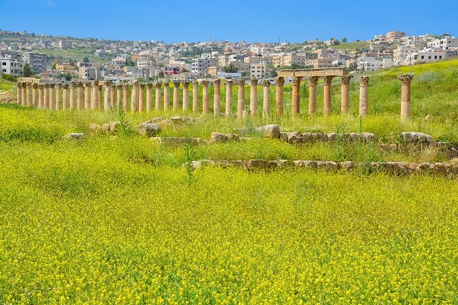Histroy Tour in Jerash Ruins and Ajloun Castle - Starting from Amman in a private vehicle