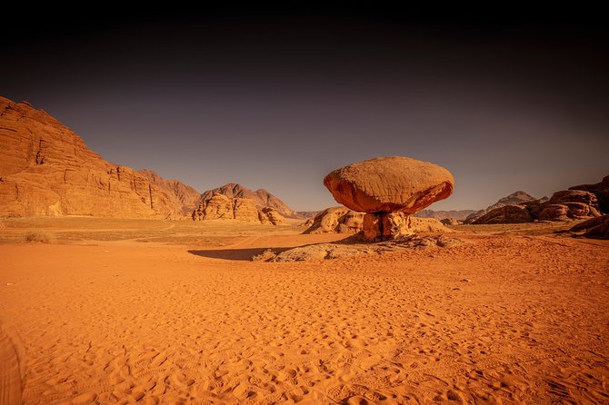 horse riding 2 hours tour in Wadi Rum - What the $100 price means