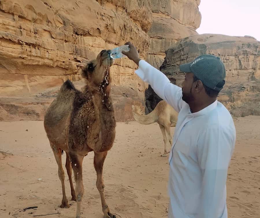 Jeep Tour - The first desert stops: Siq Um Al Tawaqi and Alameleh