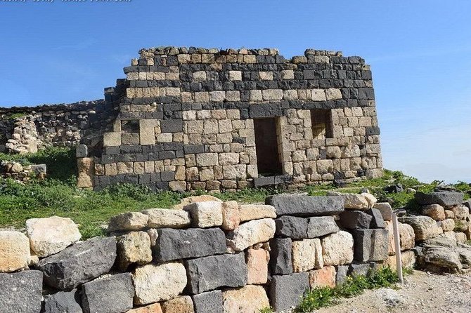 Jerash, Ajloun, and Umm Quais Full-Day Tour - Why the private driver can make or break the day