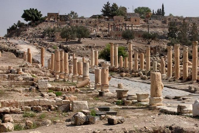 Jerash, Ajloun, and Umm Quais Full-Day Tour - Timing, lunch, and the reality of a full day