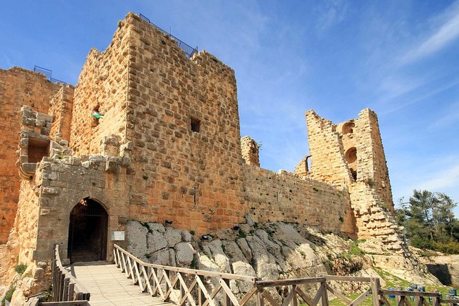 Jerash, Ajloun, and Umm Quais Full-Day Tour - What the $96 price really buys