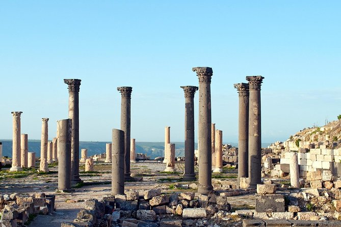 Jerash, Ajloun, and Umm Quais Full-Day Tour - Who should book this private Jordan day trip