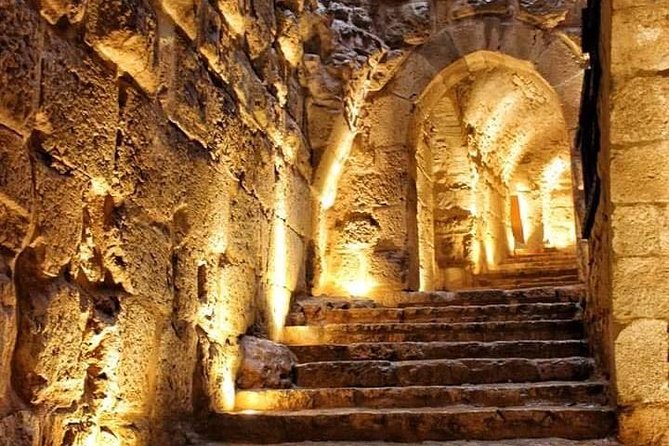 Jerash / Ajloun Castle Private Day Tour - Walking Through Roman Jerash