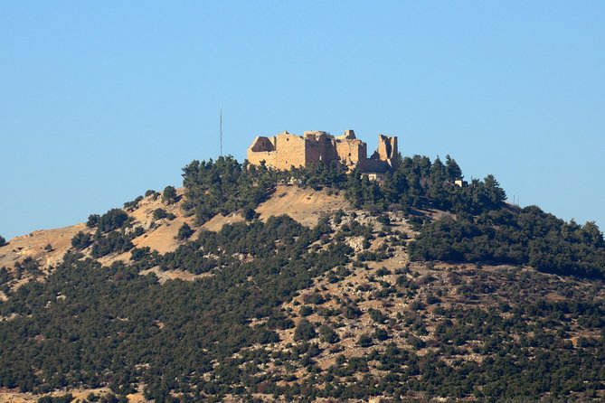 Jerash, Ajloun, Umm Qais Day Trip - Food stops and local advice add real value