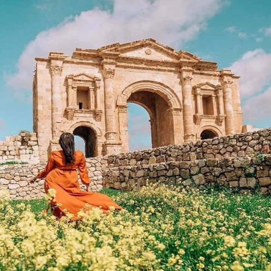 Jerash and Ajloun Castle Day Tour From Amman - Exploring Ajloun Castle’s medieval defenses