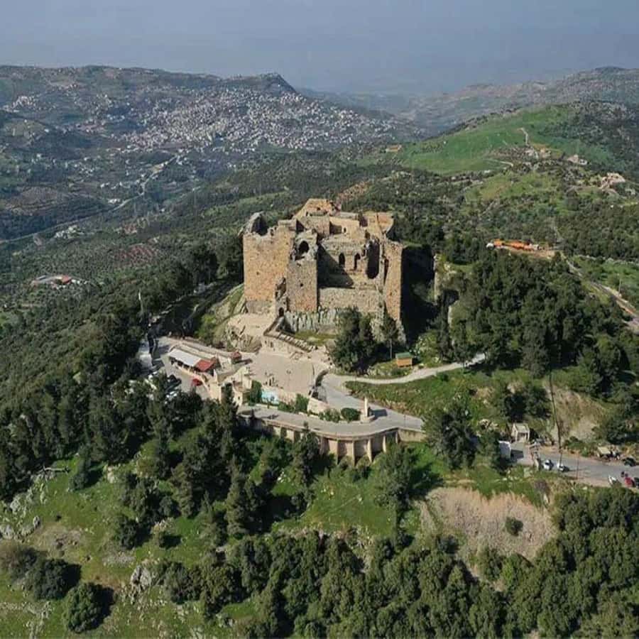 Jerash and Ajloun Castle Day Tour From Amman - Who should book this experience