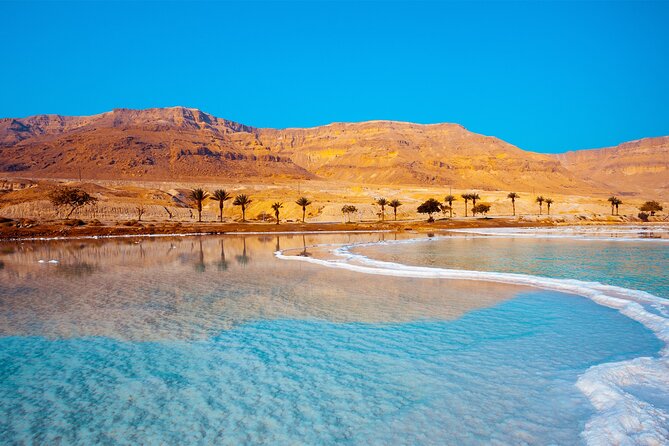 Jerash and Dead Sea Full Day Tour from Amman - The private format and driver service