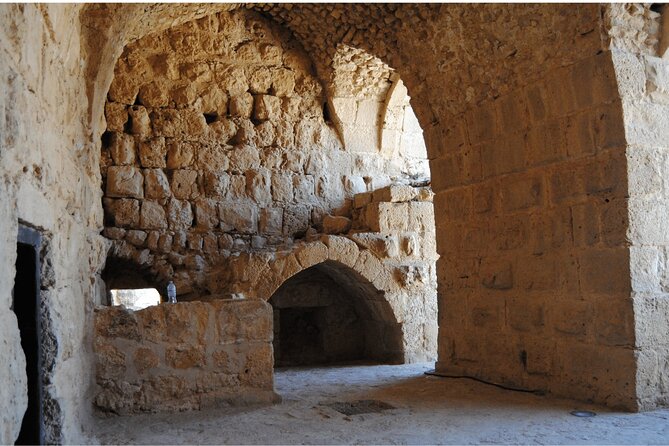 Jerash Umm Qais & Ajloun Castle Tour - Who should book this day trip?