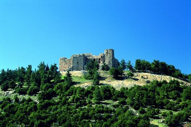 Jerash Umm Qais & Ajloun Castle Tour - Umm Qais and the Sea of Galilee views