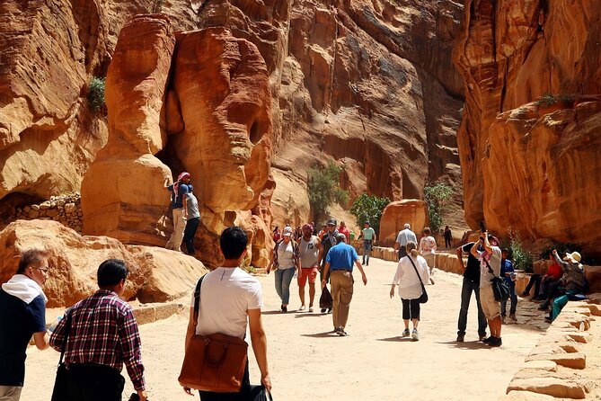 Jordan Essentials - Petra with a guide included