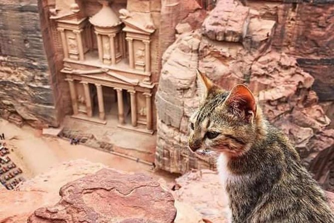 Jordan Family Holiday - Why this Jordan family route works