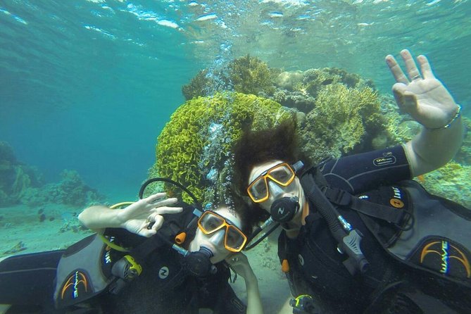 Jordan Group Tour - The Dead Sea Ends the Route With a Floating Break