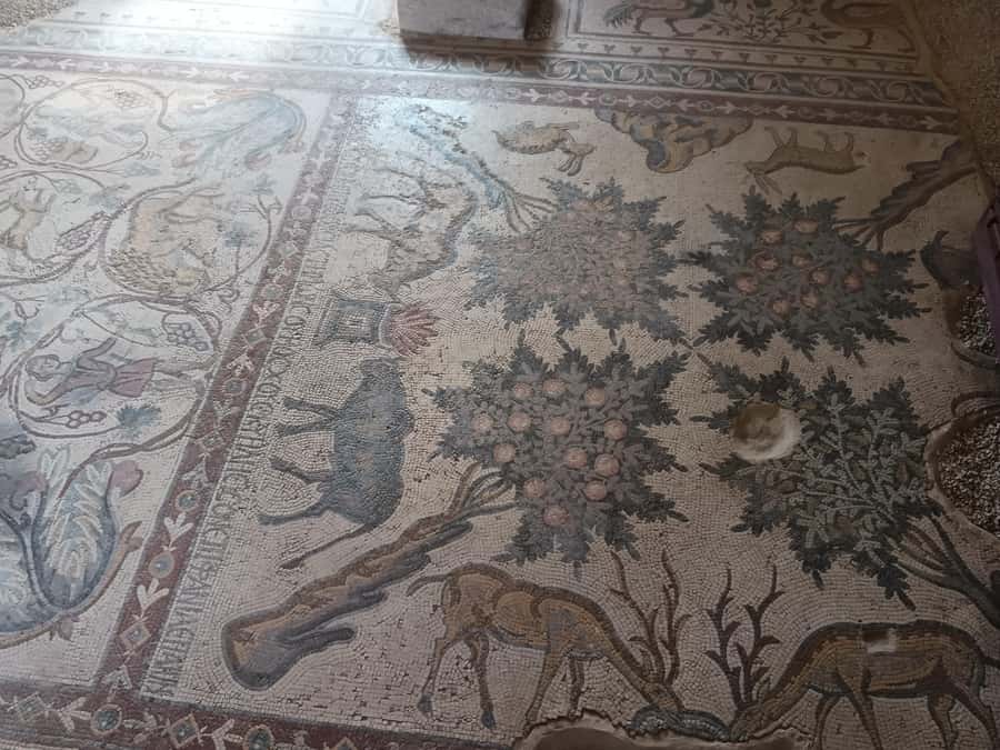 Jordan Mosaic Wonders: Umm ar-Rasas, Madaba & Mount Nebo - The workshop turns watching into making