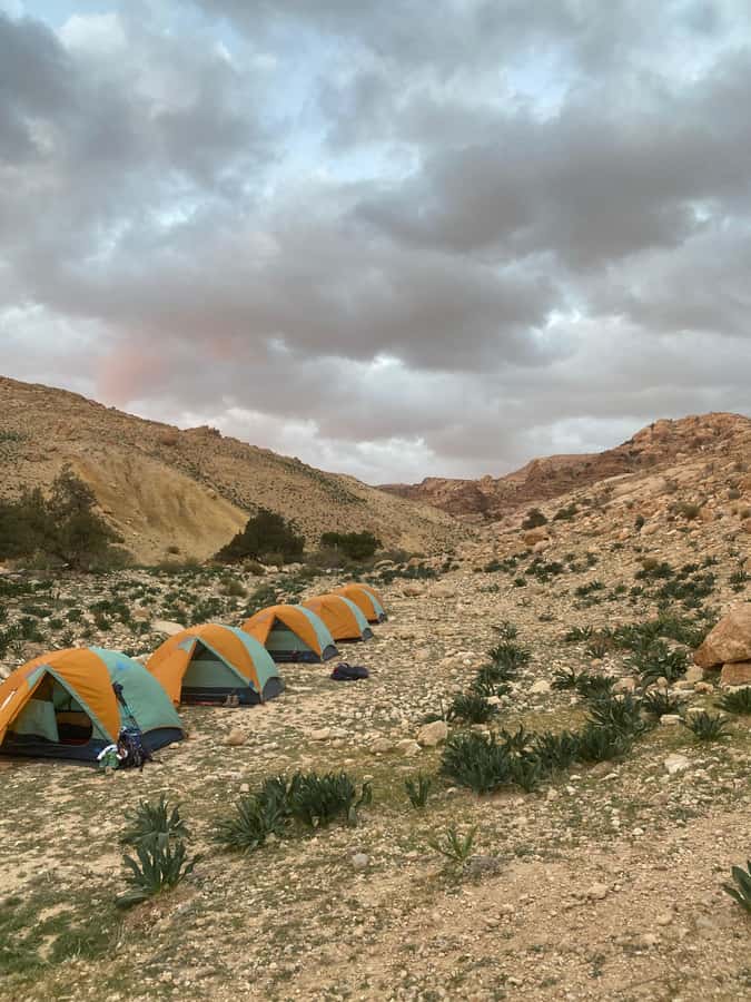Jordan Trail: Dana to Petra 4-Day Trekking Tour - Is $499 good value?