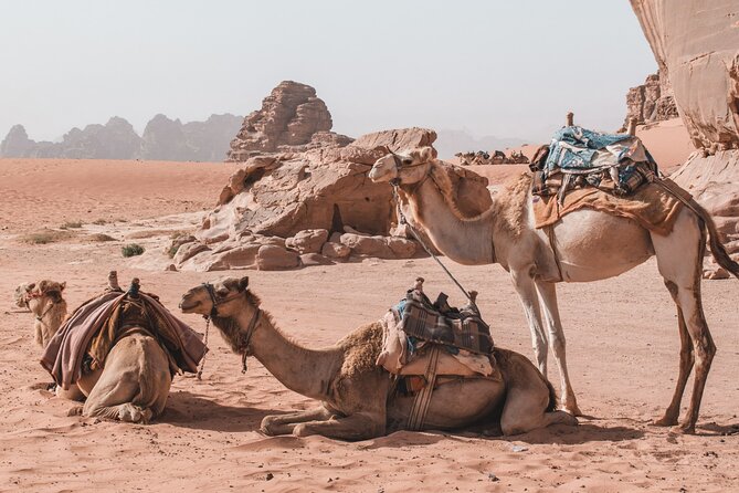 Jordan Travel Planning Services | The Jordanian Mappers - Petra deserves the time you give it