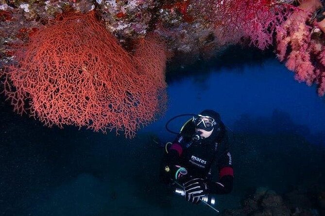 Journey of Diving or Snorkelling from a Boat - Why Aqaba is a good place for a boat outing