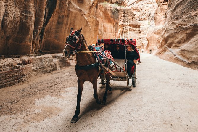 MULTI DAYS TOURS | TWO Days tour in PETRA | The Jordanian Mappers - The Treasury reveal and what the guide adds