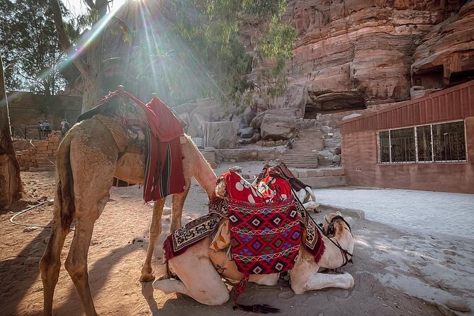 Nabatean Nights Stay in Petra Jordan - Bedouin Village with Tour - Lunch in a cave above the valley