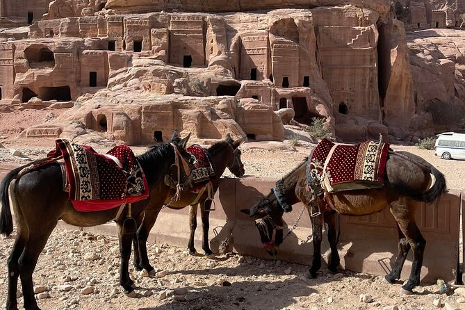 Nabatean Nights Stay in Petra Jordan - Bedouin Village with Tour - The Treasury viewpoint and Petra’s first big reveal