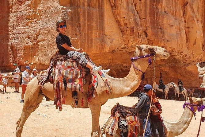 One Day Petra From Aqaba - The private vehicle is the tour’s practical strength