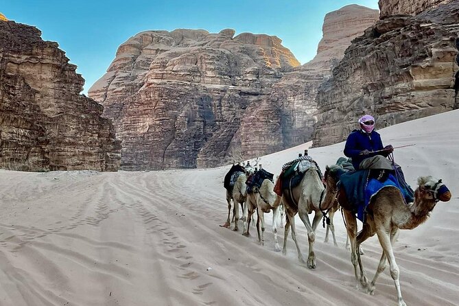 One Day Petra & Wadi Rum from Aqaba - Practical details that affect your decision