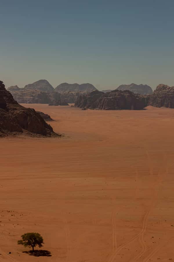 One Day Tour from Aqaba - Petra and Wadi Rum - Aqaba - The day’s main tradeoff: range versus depth