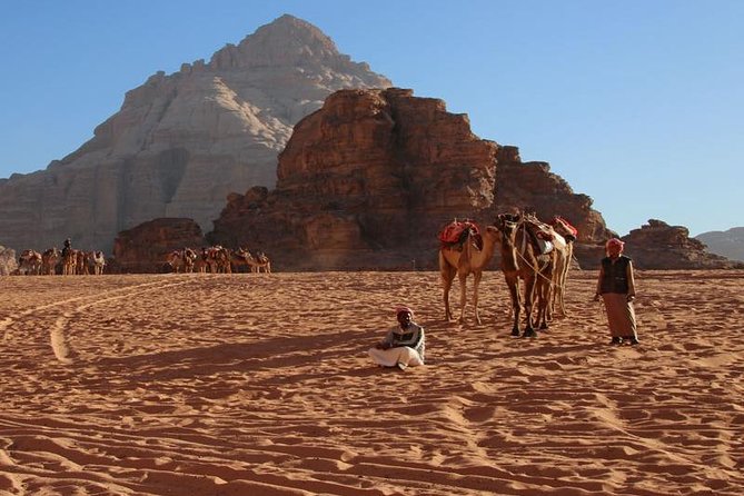 One Day Tour to Wadi Rum From Amman - Canyons, valleys, dunes, and remote trails