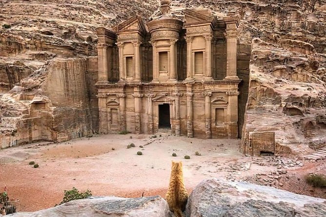 Petra Day Tour from Aqaba Port (Shore Excursion Petra) - JHT - Roman Theater, Royal Tombs, and Petra’s Carved Facades