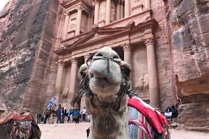 Petra Day trip from Aqaba City - What the Day Feels Like in Practice