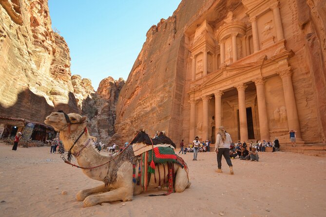 Petra & Dead Sea - One day Private tour - Should you book it?