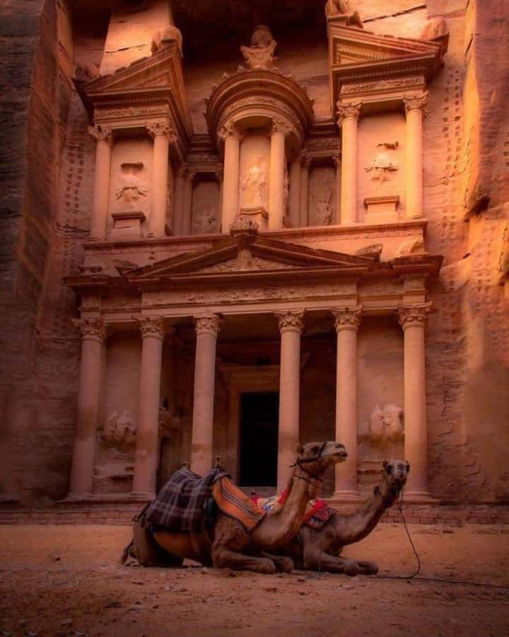 Petra & Dead Sea Private day tour - Lunch with a Dead Sea view