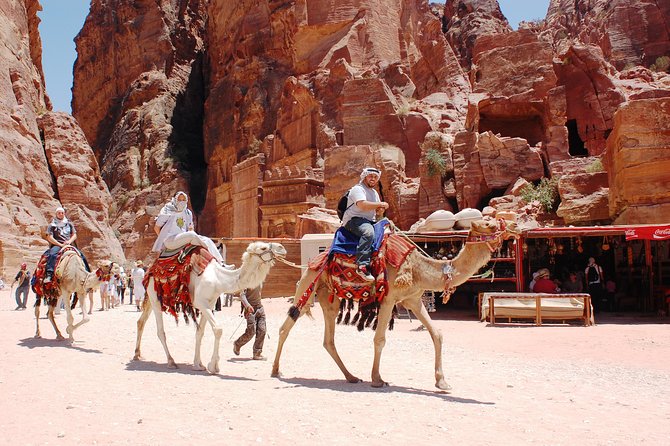 Petra Excursion from Dead Sea - Lunch, entrance fees, and the real price
