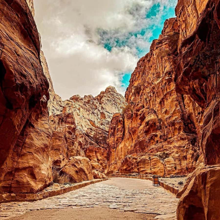 Petra Full-Day Private or Group Tour From Amman - Key points at a glance
