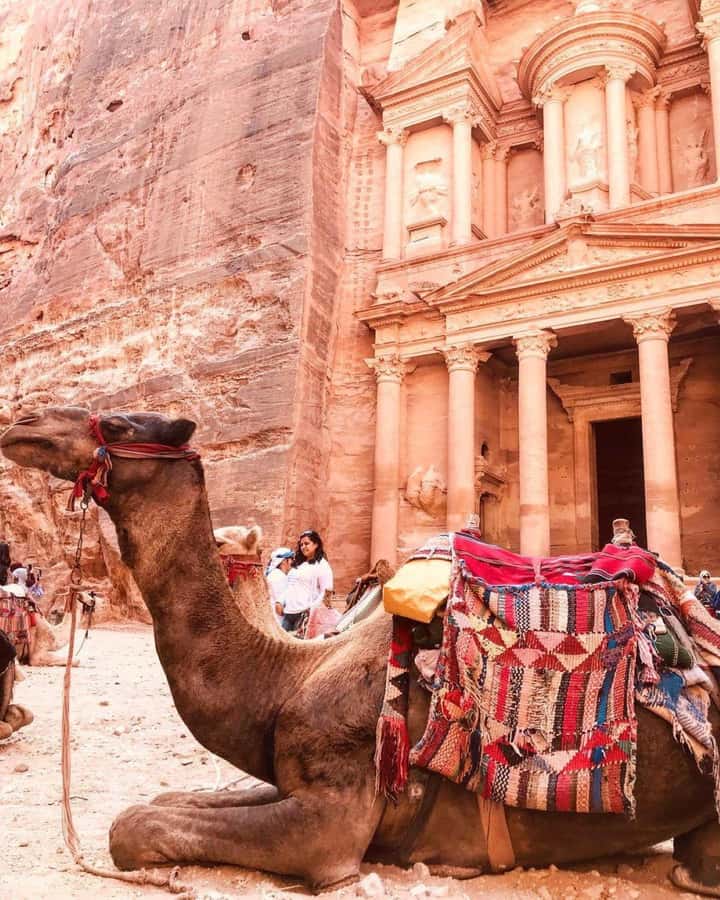 Petra : Full-Day Private Tour from Amman with Hotel Pickup - Key points to know before booking
