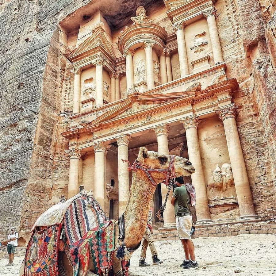 Petra : Full-Day Private Tour from Amman with Hotel Pickup - The private vehicle and long Jordanian road trip