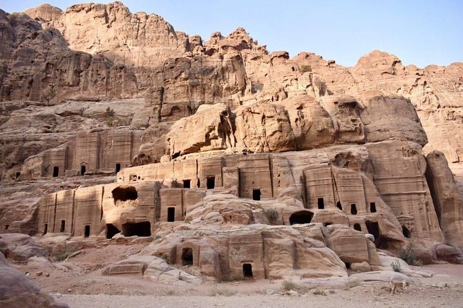 Petra, Little Petra and Shobak Castle - Private Tour From Amman - Shobak Castle changes the story
