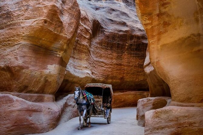 Petra Private Full-Day Tour - The Monastery requires effort, but rewards it