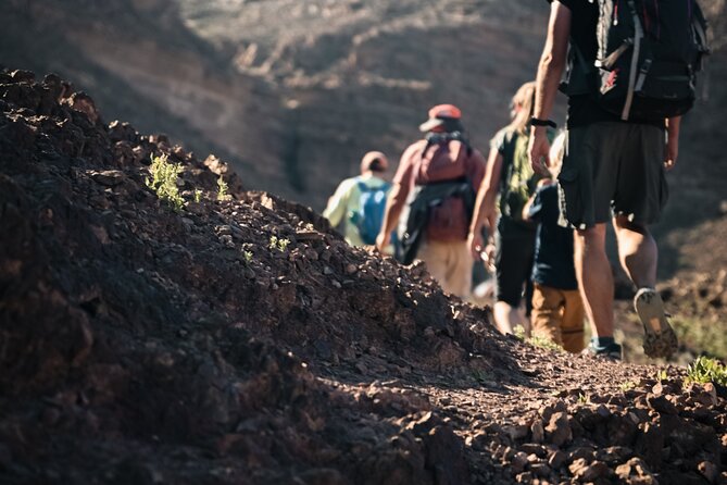 Petra to Wadi Rum Trek - 6 Days - What the $995 price really covers