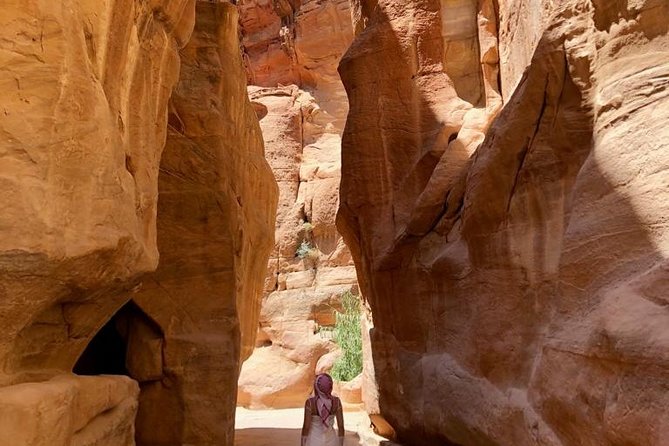 Petra Visit Layover Tour - Who should book this Petra layover tour?