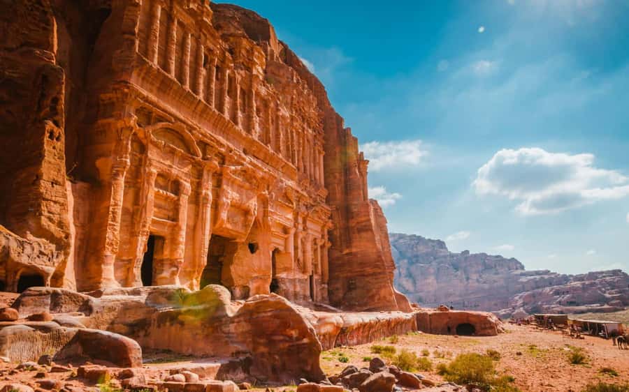 Petra & Wadi Rum: Full Day Private Tour with Hotel Pickup - What a $133 private day in Jordan really buys you